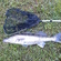 Pike perch