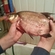 Carp bream