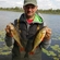 Eurasian perch