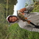 Eurasian perch