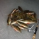 Eurasian perch