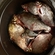 Carp bream