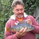 Eurasian perch