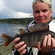 Eurasian perch
