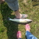Pike perch