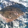 European plaice