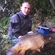 Carp
