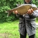 Carp bream