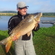 Carp