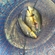 Tench