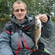 Eurasian perch