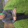 Ocean Trout