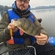 Eurasian perch