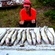 Pike perch