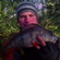 Eurasian perch