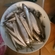 European smelt