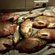 Carp bream