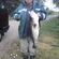 Pike perch