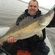 Pike perch