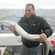 Conger eel