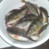 Eurasian perch