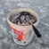 European smelt