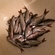 Roach