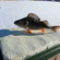 Eurasian perch