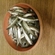 European smelt