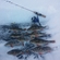 Eurasian perch