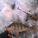Eurasian perch