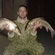 Barbel