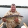 Pike perch