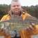 Pike perch