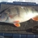 Eurasian perch