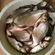 Carp bream