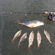 Eurasian perch