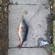 Eurasian perch
