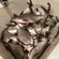 Carp bream