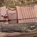 Wels catfish