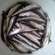 European smelt