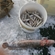 European smelt