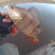 Eurasian perch