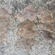 European plaice