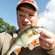 Eurasian perch