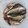 Eurasian perch