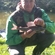 Grayling