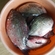 Prussian carp
