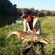 Atlantic salmon