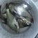 Carp bream